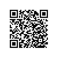 馬桶無障礙不銹鋼扶手拆開看材質(zhì)！【藍(lán)品盾】