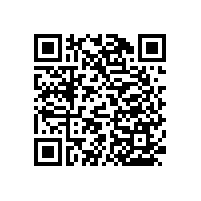 馬桶助力扶手帶卷紙的設(shè)計【藍(lán)品盾】