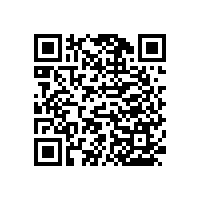 木質(zhì)扶手衛(wèi)生間多功能設計更實用【藍品盾】