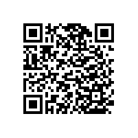 木質(zhì)扶手衛(wèi)生間可訂制多功能款式!【藍品盾】