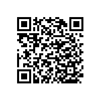 木質(zhì)無障礙扶手/多功能防霉/防潮【藍品盾】