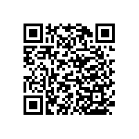 木質(zhì)無障礙扶手/讓生活變的更輕松【藍(lán)品盾】