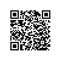 【尼龍材質(zhì)】的衛(wèi)浴扶手,溫州客戶選購的產(chǎn)品