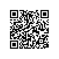 尼龍材質(zhì)的無(wú)障礙坡道扶手-藍(lán)品盾