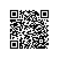 尼龍衛(wèi)生間扶手-長度可定制