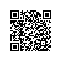 PT-159豪華型防撞扶手的特點及安裝尺寸