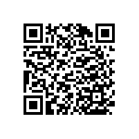 讓人放心的衛(wèi)浴扶手品牌【藍品盾】