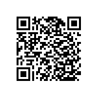 【四川】尼龍衛(wèi)生間扶手，人見人夸