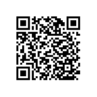 【四川】尼龍衛(wèi)浴扶手，藍(lán)品盾為您推薦合適的!