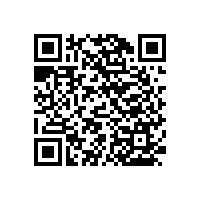 四川醫(yī)用扶手廠家-經(jīng)濟(jì)實(shí)惠的搭配【藍(lán)品盾】