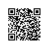 【山東】不銹鋼衛(wèi)浴扶手,每個細節(jié)做的都很到位