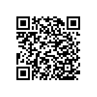 【上海】衛(wèi)生間扶手選購，藍品盾廠家是一個不錯的選擇！