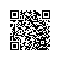 適合用在公共衛(wèi)生間的殘疾人衛(wèi)生間安全扶手【藍(lán)品盾】