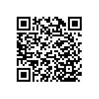 【升級(jí)產(chǎn)品】更安全牢固,PT-WY-29帶立柱上翻扶手