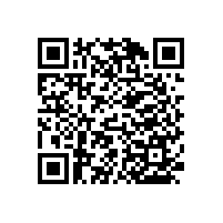 設(shè)計(jì)感強(qiáng)的衛(wèi)生間扶手可以選擇這樣的！【藍(lán)品盾】