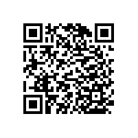 適老化改造無(wú)障礙扶手劃算的款式推薦【藍(lán)品盾】