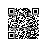 濕漉漉的衛(wèi)生間安裝無障礙扶手更安全！【藍(lán)品盾】