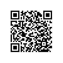 沙坪壩區(qū)馬家醫(yī)用扶手-衛(wèi)生間專用款式