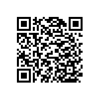 陜西醫(yī)療扶手哪里有賣的？藍品盾廠家有3款好評不斷