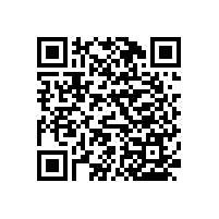 使用&專用醫(yī)用扶手廠家-藍(lán)品盾