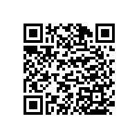 【天津】不銹鋼衛(wèi)浴扶手，金屬質(zhì)感，美觀大方，優(yōu)越品質(zhì)