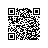 為蹲廁解決上廁所難題-衛(wèi)生間扶手老人不銹鋼【藍品盾】