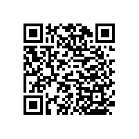 我們不光有帶紙巾盒的衛(wèi)浴扶手還有帶淋浴夾的扶手