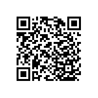 衛(wèi)生間安全扶手