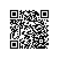 衛(wèi)生間安全扶手怎么裝才安全防滑【藍(lán)品盾】