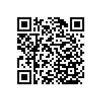 衛(wèi)生間不銹鋼扶手為老人增加便利度【藍(lán)品盾】