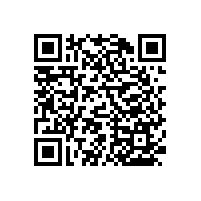 衛(wèi)生間殘疾扶手-不容忽視的存在【藍(lán)品盾】