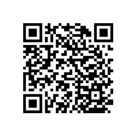 衛(wèi)生間殘疾扶手-防滑簡(jiǎn)潔【藍(lán)品盾】