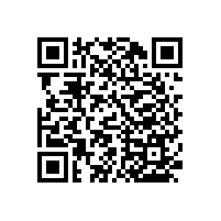 衛(wèi)生間殘疾人扶手廣州藍(lán)品盾現(xiàn)貨供應(yīng)款式百種