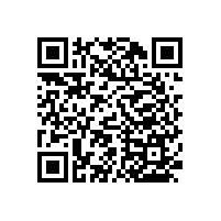 衛(wèi)生間殘疾人扶手【藍(lán)品盾】