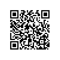 衛(wèi)生間殘疾人扶手-滿(mǎn)足年老體弱者的需求丨廠銷(xiāo)價(jià)