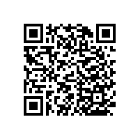 衛(wèi)生間兒童扶手-真材實料的品質(zhì)【藍(lán)品盾】