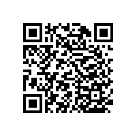 衛(wèi)生間防摔倒的老年人扶手