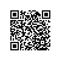 衛(wèi)生間扶手欄桿-匠心之造防滑必備【藍(lán)品盾】