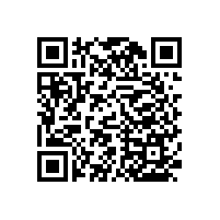 衛(wèi)生間扶手，來看看都有哪些款式？【藍品盾】