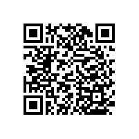 衛(wèi)生間扶手老人不銹鋼-公廁有了它方便多了【藍(lán)品盾】