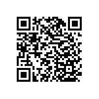 衛(wèi)生間扶手生產(chǎn)廠家【藍(lán)品盾】