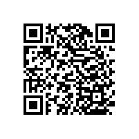 衛(wèi)生間扶手生產(chǎn)廠家哪里有？【藍品盾】