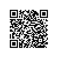 衛(wèi)生間扶手啥牌子好-老牌廠家比較靠譜【藍品盾】