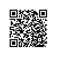 衛(wèi)生間靠墻扶手-一體成型防水/防銹【藍(lán)品盾】