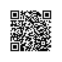 衛(wèi)生間老人房扶手簡(jiǎn)約方便【藍(lán)品盾】