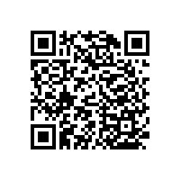 衛(wèi)生間老人扶手還可以掛拐杖？【藍品盾】