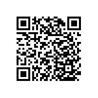 衛(wèi)生間老人扶手怎么安裝【藍(lán)品盾】