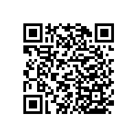 衛(wèi)生間老人扶手裝配-藍(lán)品盾