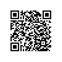 衛(wèi)生間老人用翻轉(zhuǎn)扶手防滑省空間【藍(lán)品盾】