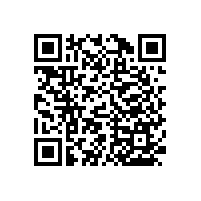 衛(wèi)生間馬桶安全扶手“實(shí)用省空間”【藍(lán)品盾】